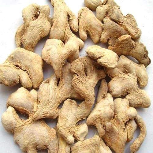 Fashtales Handicrafts Organic Whole Dry Ginger Sonth Soth/Aromatic Spice for Cooking & Health/Freshly Harvested - 400gm