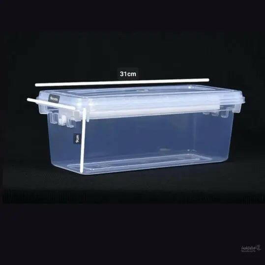 Bangle box For Women,Jewellery Box,Poratble Organizer,Transparent One and Four Rod Bangle box For Bride,Travel, Bracelet, Watches organiser