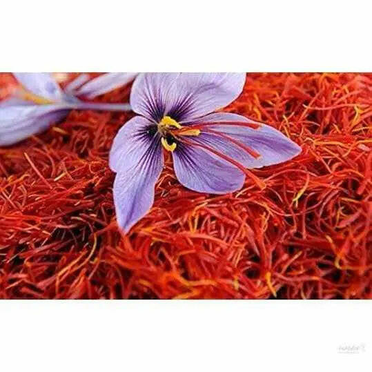 Kesar 1 GM Natural Kesar Saffron Keshar for Pregnancy, Cooking, Milk, Biryani, Tea,Sweets & Beauty Fair Skin, Tilak, Puja
