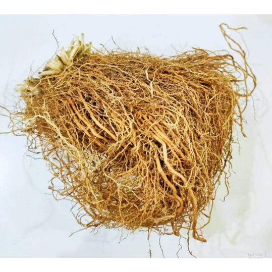 Organic Vetiver Root Khus Root - Vetiveria - Zizanioides - Vala - Kas Ramacham - Vetiver - Vettiver Root - (PACK OF 200 g)