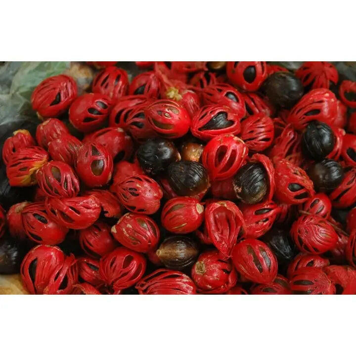 Fashtales Handicrafts Whole Nutmeg Mace | Sabut Javitri | Javitri Flower | 50Gm